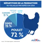 Anvol analyse volailles