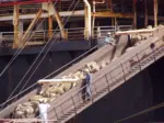 moutons sur une passerelle de navire