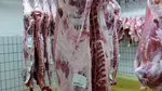 carcasse de viande