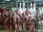 quartiers de viande au frigo