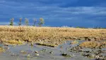 Inondation d'une parcelle de maïs ciel orageux