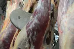 carcasse en abattoir