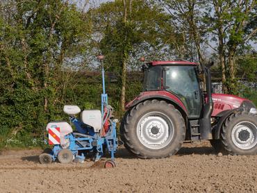 Semoir monograine Monosem au semis de maïs avec tracteur Case IH