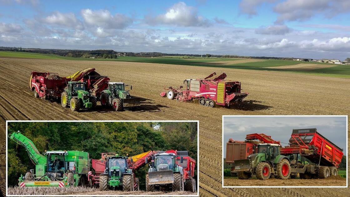 Un transbordeur déterreur pour pommes de terre, betteraves... mais ...