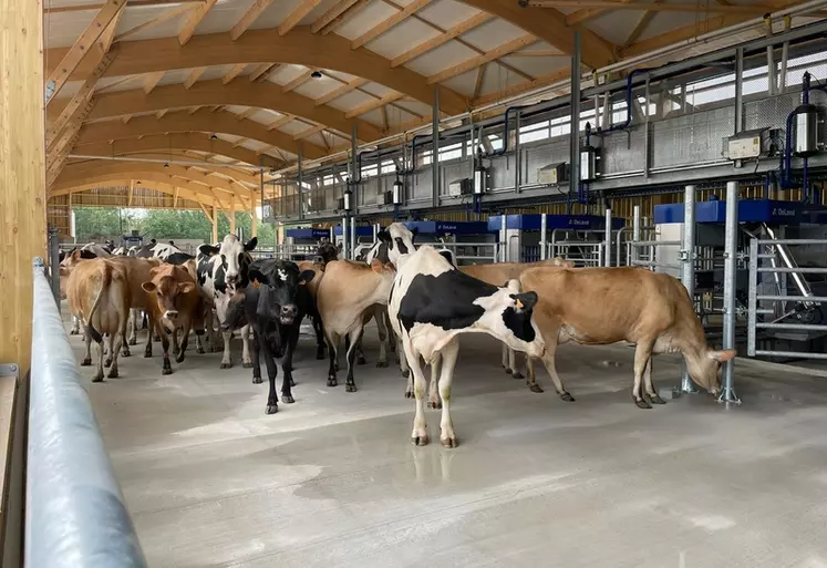 La Ferme de la Tremblaye dans les Yvelines dispose de six robots DeLaval VMS 310 pour traire 220 vaches laitières deux fois par jour.