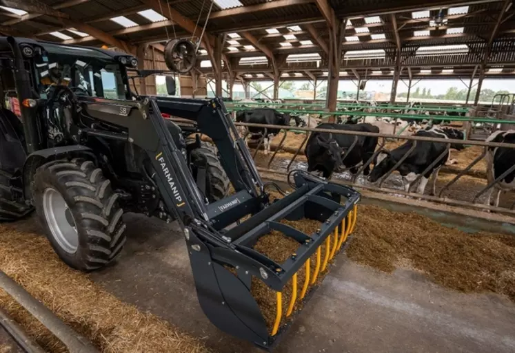 Tracteur avec chargeur frontal Farmanip dans un bâtiment d’élevage avec des vaches. 