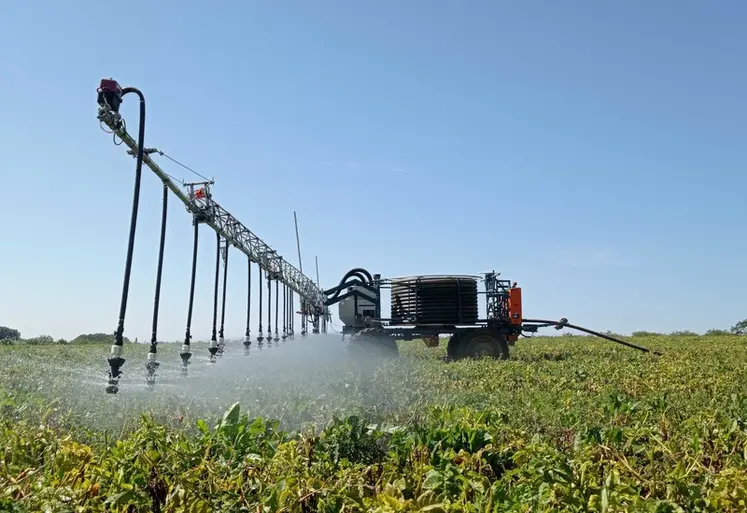 <em class="placeholder">Robot Oscar en action d&#039;irrigation dans un champ de pommes de terre.</em>