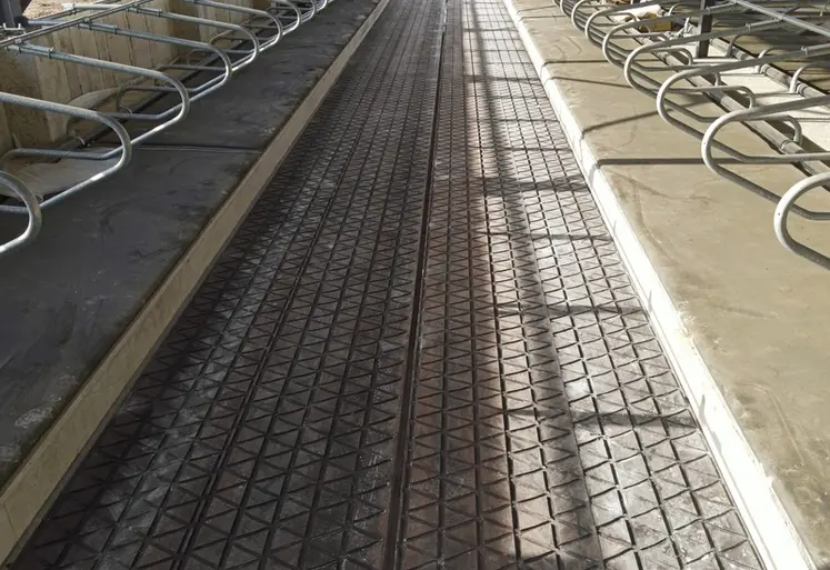 <em class="placeholder">Vue des tapis drainants d&#039;IDS</em>