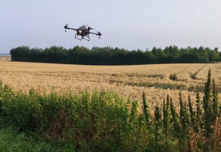 <em class="placeholder">Drone réalisant du semis de couvert sur céréales.</em>