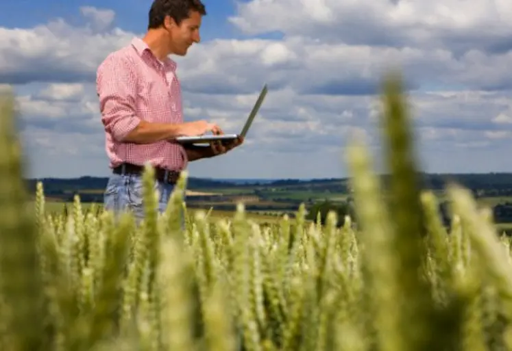 Un agriculteur sur son ordinateur portable dans un champo de blé.