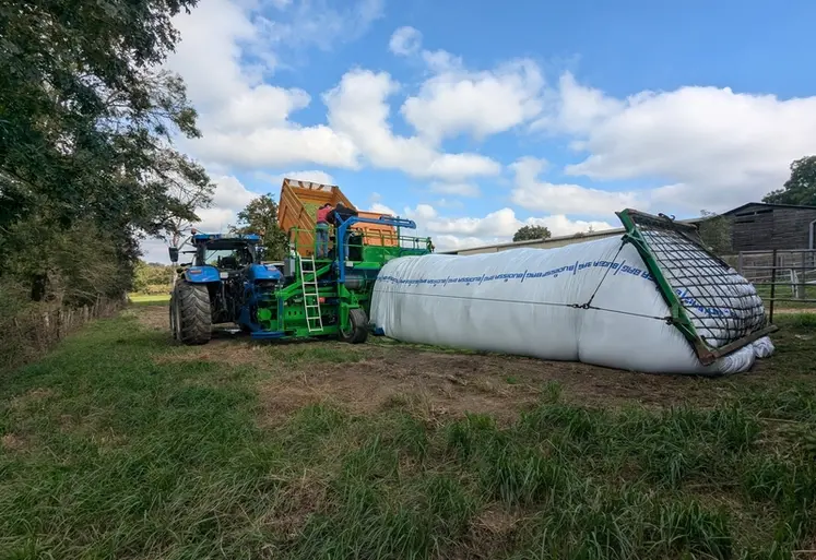 <em class="placeholder">Boudineuse Budissa Bag</em>