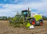 <em class="placeholder">Ensileuse Claas Jaguar 880 récoltant du maïs fourrage</em>