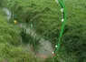 <em class="placeholder">Nettoyage d&#039;un système de drainage</em>
