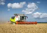 Moissonneuse-batteuse Claas Trion 760