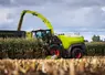 <em class="placeholder">Ensileuse Claas Jaguar série 1000 à l&#039;ensilage de maïs</em>