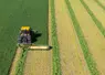 <em class="placeholder">Faucheuse Krone EasyCut R 360 Collect attelée à un tracteur JCB Fastrac</em>