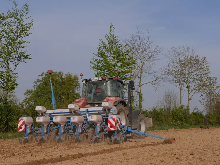 Semoir monograine Monosem dela Cuma d'Ouville dans la Manche au semis de maïs avec tracteur Case IH