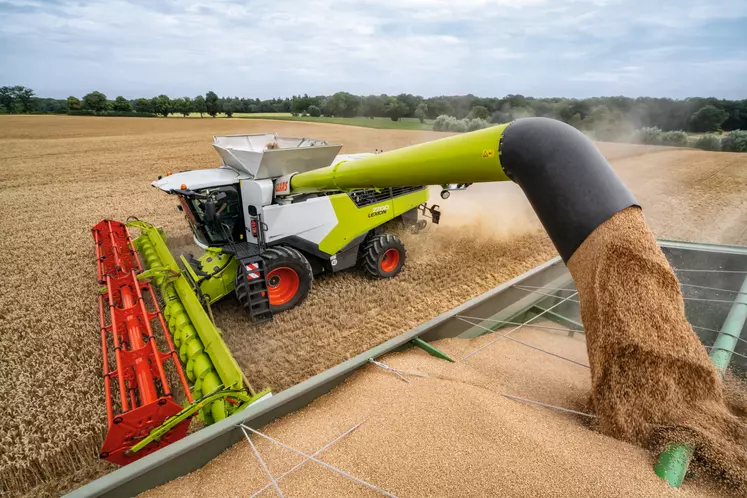 Moissonneuse-batteuse Claas Lexion 7700 en cours de vidange de trémie