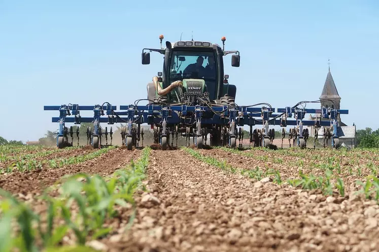 Carré Bineuse Plan de relance agricole Réussir Machinisme