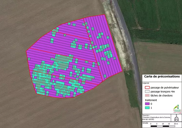 Cartographie_chardons_drone