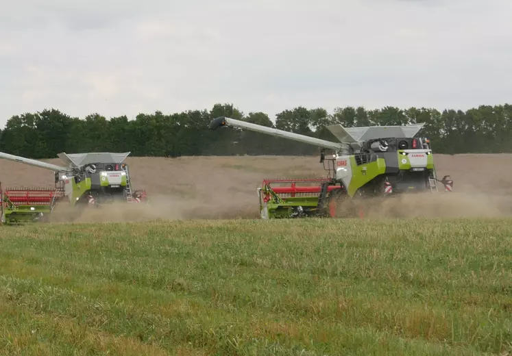 Au colza comme au maïs, les broyeurs de paille s’utilisent à petite vitesse.