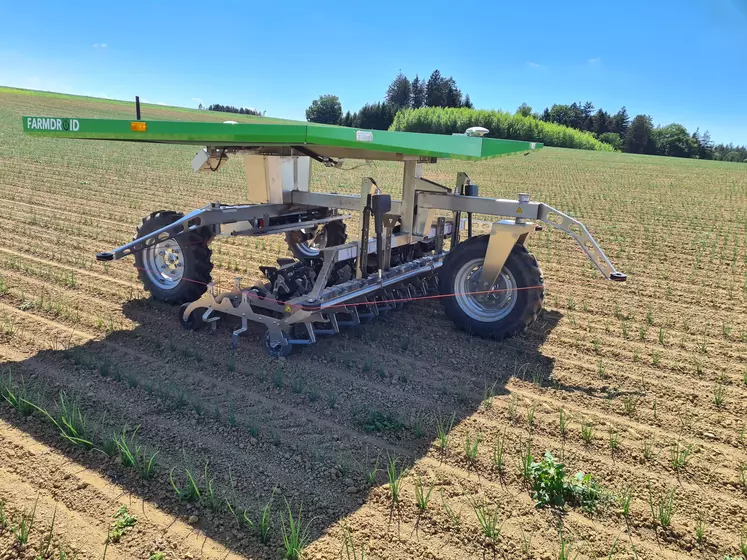 Robot FarmDroid FD20 au désherbage