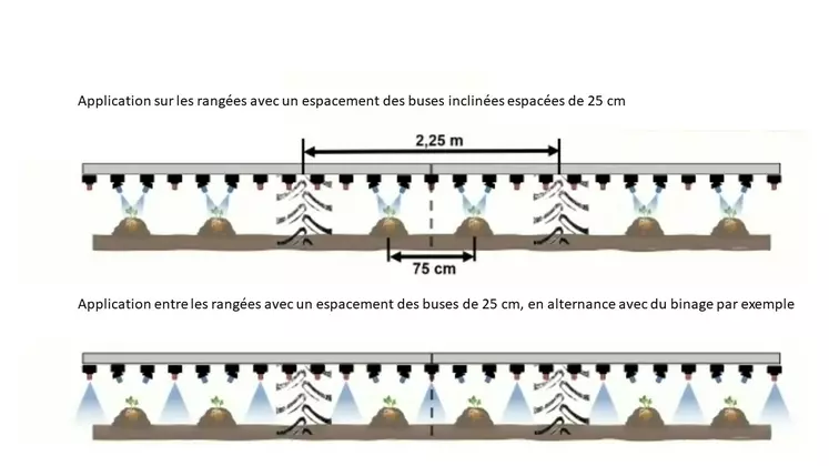 Horsch pulvé en bande Réussir Machinisme 