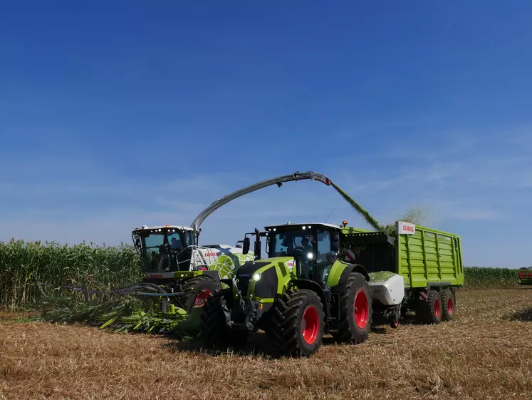 Ensileuse Claas Jaguar – Récolte du Sorgho à Innov’Agri 2021 – Réussir Machinisme