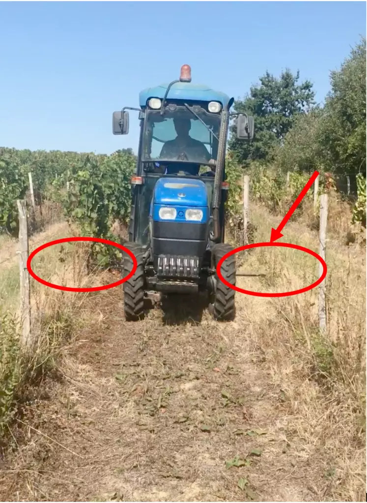 ORIA_AGRICULTURE Headsight Vineyard Tactile Steering 