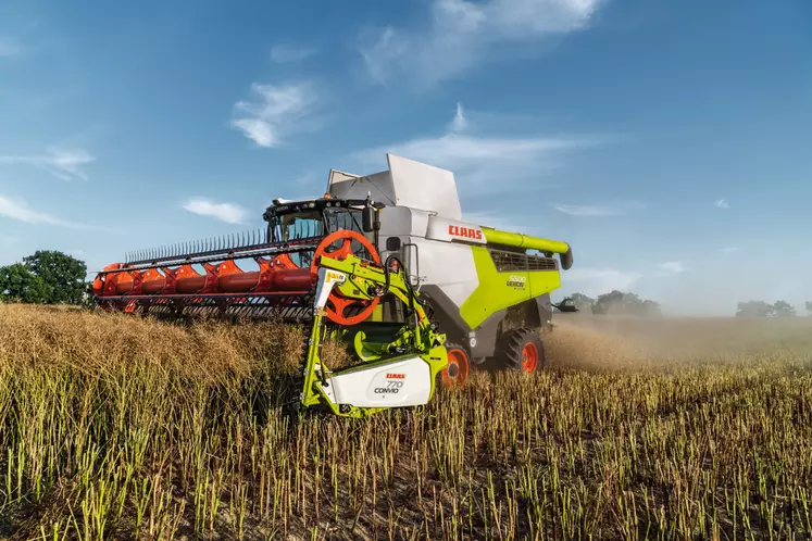 Coupe Draper Claas Convio sur moissonneuse-batteuse Lexion 5500 Terra Trac