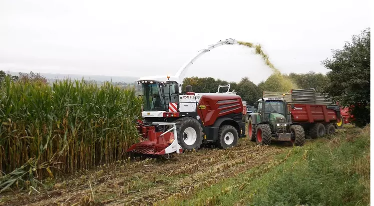 Ensileuse automotrice Rostselmash RSM F 2650 à l'ensilage de maïs avec tracteur Fendt et remorque Chevance