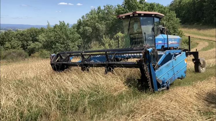 Les machines des années 90 restent une solution à coût maîtrisé pour un cumul modéré de surfaces à faucher. 