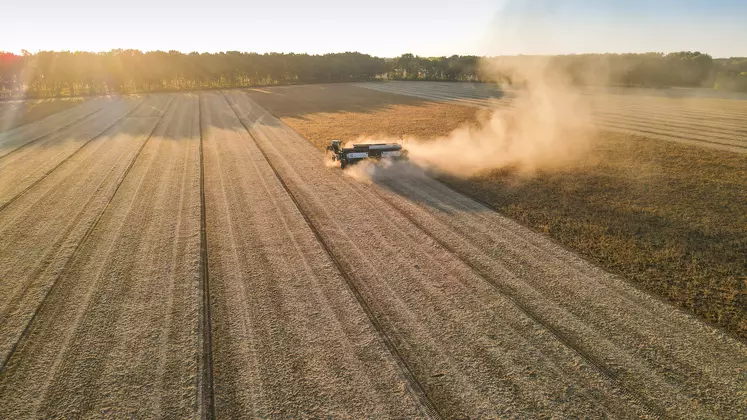 Le porte-outil NeXaT fonctionne de manière autonome, sa cabine pivotante offrant une très bonne visibilité à l'opérateur pour contrôler le travail effectué