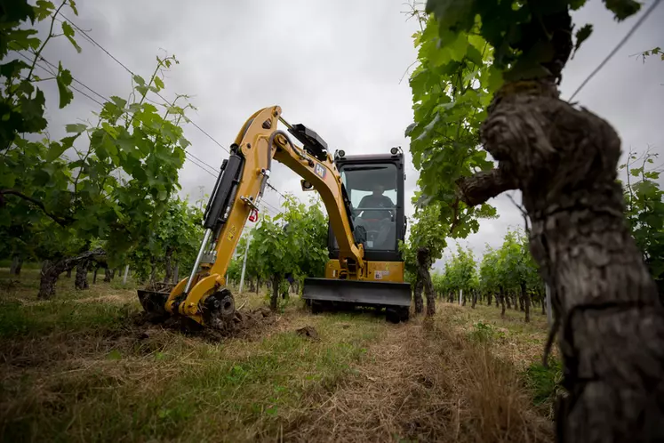 Minipelle CAT 302 CR dans la vigne © Cat