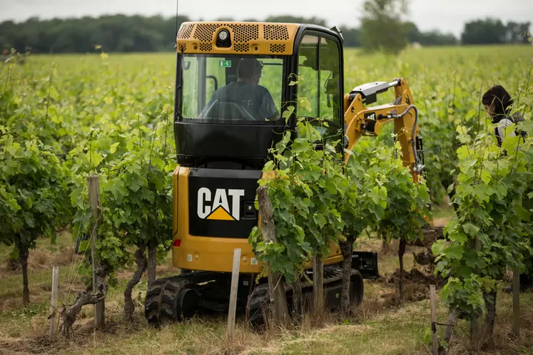 Minipelle CAT 302 CR dans la vigne © Cat