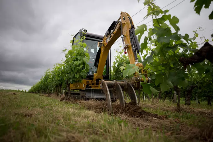 Minipelle CAT 302 CR dans la vigne © Cat