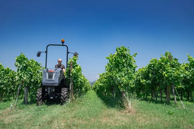 Moins chers à l'achat, les tracteurs interlignes ultracompacts se revendent plus facilement que les enjambeurs.  © Carraro Tractors