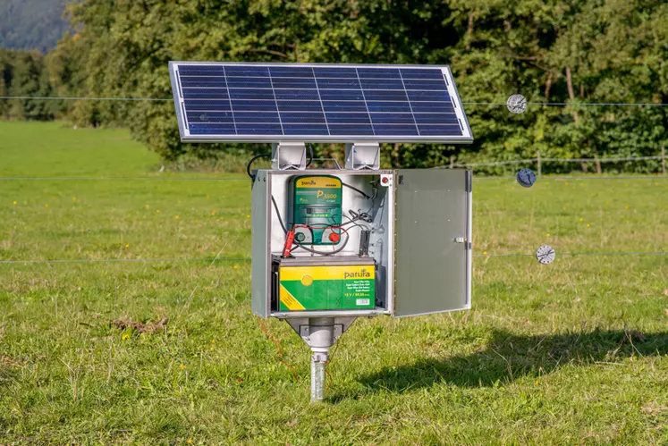 Kit de cloture électrique solaire pour chien complet et prêt à l'emploi sur  cloturelec