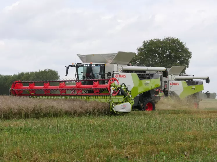 Les moissonneuses-batteuses Claas Trion existent en 5 et 6 secoueurs, ainsi qu'en technologie hybride à un ou deux rotors. © L. Vimond