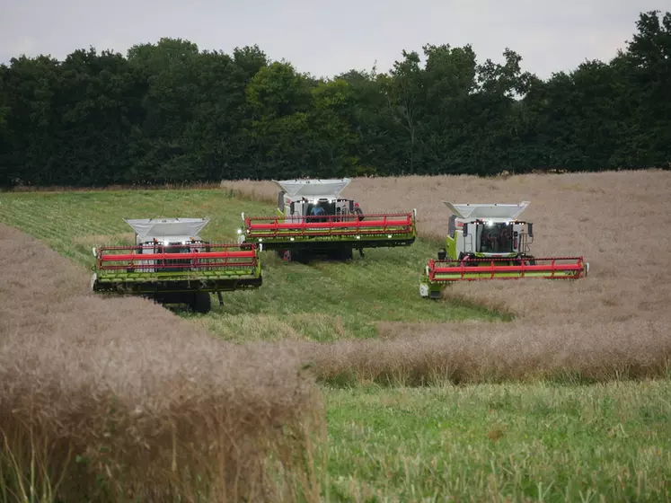 Les trémies de type américaines des moissonneuses-batteuses Claas Trion sont disponibles dès 10 500 litres.  © L. Vimond