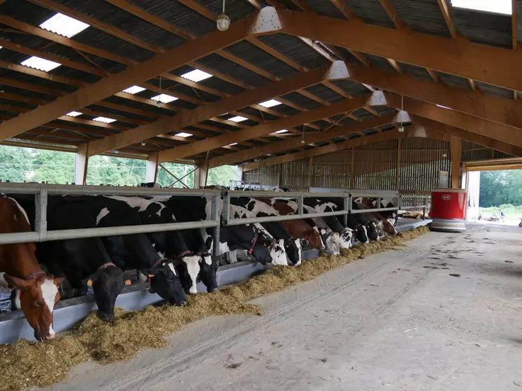 Depuis l’arrivée du robot d’alimentation en février 2021, le niveau d’ingestion des 120 vaches laitières a augmenté de 500 kg par jour.