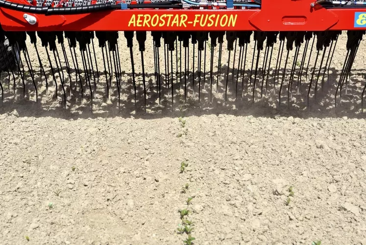 La herse étrille Aerostar-Fusion d'Einböck utilise des dents espacées de 2,8 cm montées sur supports PVC.