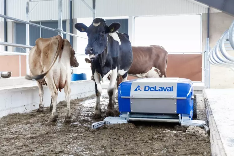 Les robots racleurs sont moins perturbants pour la circulation des vaches. 