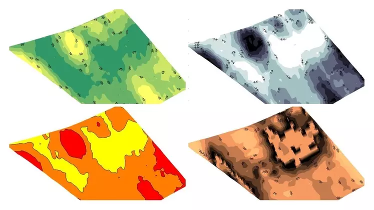 Plusieurs cartes peuvent être établies à l'aide du SoilXplorer, comme ces cartes de profondeurs de sol travaillées (vert), de réserve utile (gris), de conductivité (rouge et jaune) et de profondeur de sol (orange et noir). © Geoprostectors