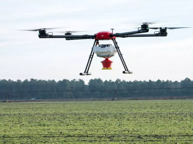 Le drone guidé par GPS suit un plan de vol préalablement validé par les autorités compétentes. À l’épandage des couverts, il évolue à une hauteur de 10 mètres et travaille sur une largeur de 12 mètres.  © Ovalie Innovation