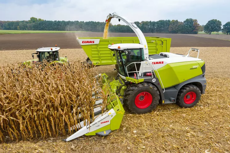 Pour l’ensilage de maïs en épis, le bec de l’ensileuse est remplacé par un cueilleur de moissonneuse-batteuse.