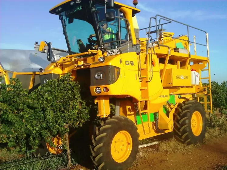 New Holland dévoile une machine à vendanger XXL – FARM Connexion