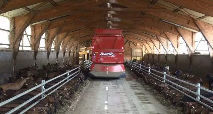 Le robot Jeantil Automatic Feeding est doté d’une fonction paillage adaptée aux élevages caprins.