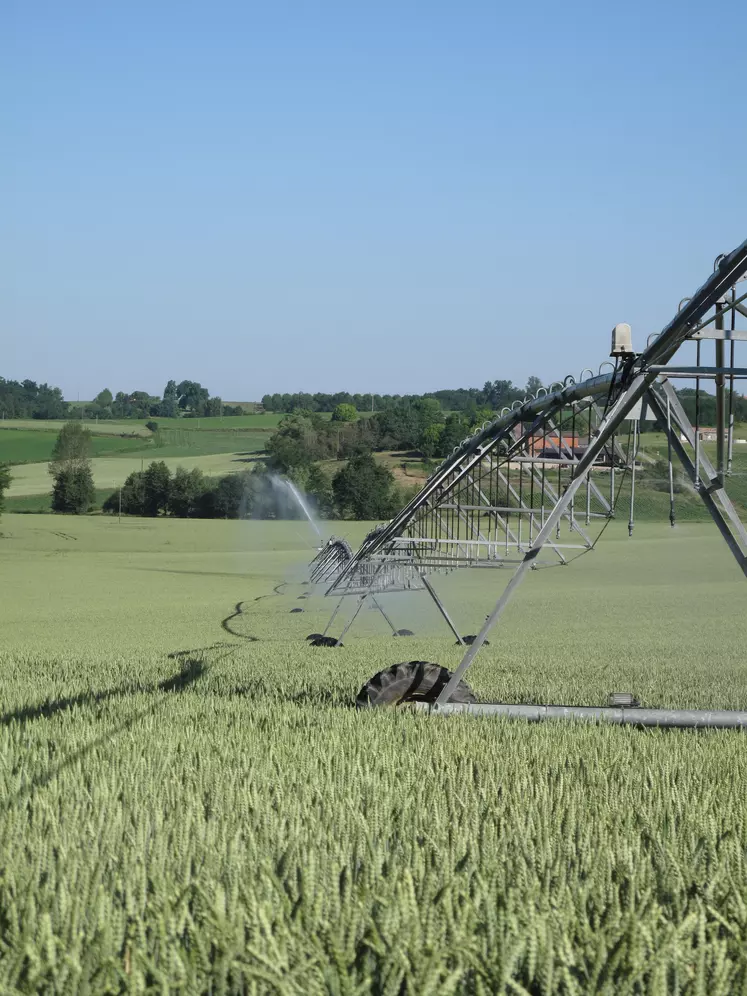 En fonctionnant à plus basse pression que les enrouleurs, les pivots offrent une meilleure efficacité énergétique.