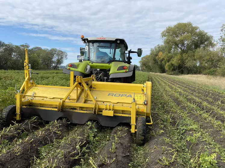 Ropa Broyeur de fanes de pommes de terre Réussir machinisme